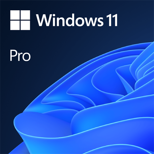 Microsoft Windows 11 Professional DVD - Durban Computer Shop